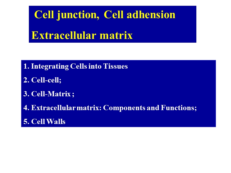 8细胞社会学.ppt_第1页