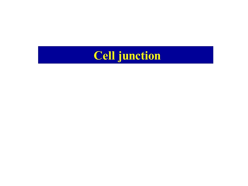 8细胞社会学.ppt_第2页