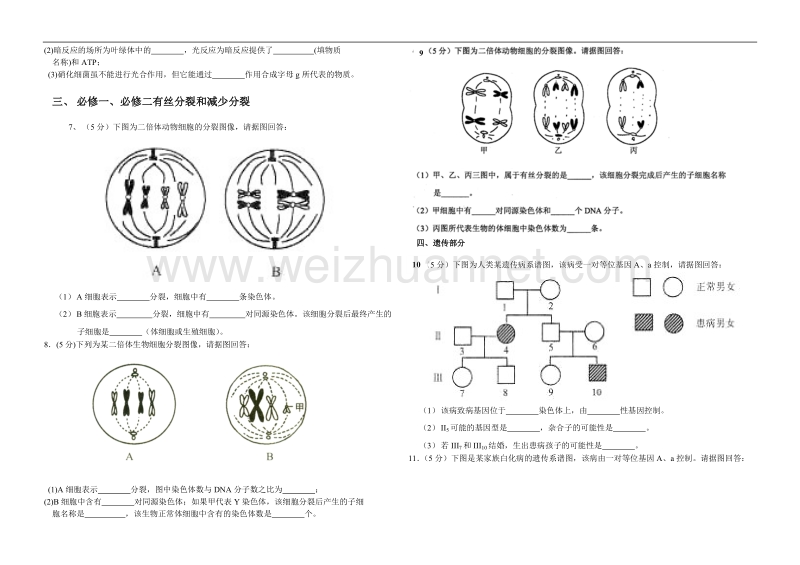 云南省历年高中学业水平考试生物大题汇集附答案版.doc_第2页