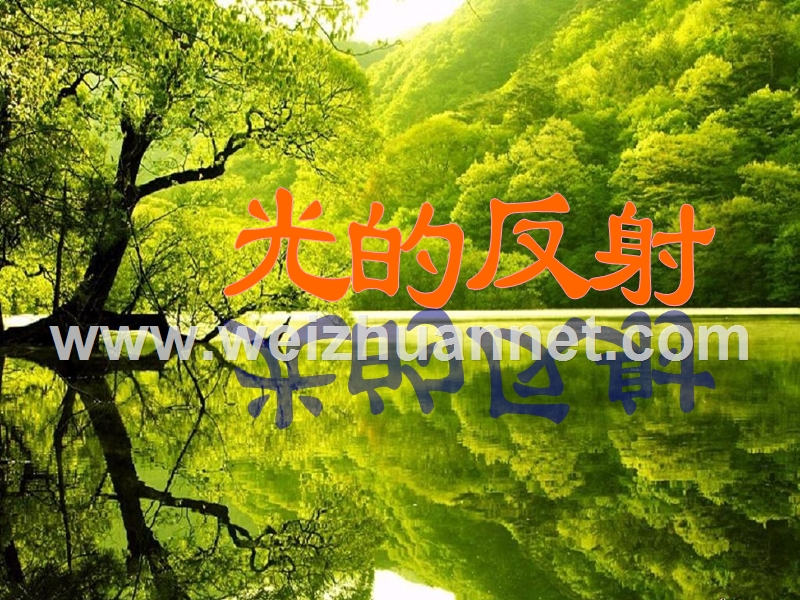 光的反射2012公开课.ppt_第1页