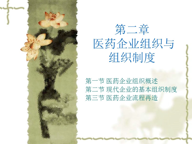 医药企业管理学——第二章-医药企业组织.ppt_第1页