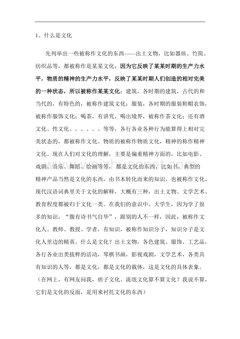 我对文化的理解.doc_第2页