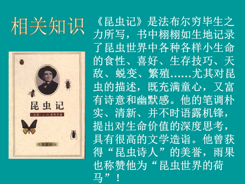 江苏省扬州市江都区吴桥中学七年级语文教学资源：第四单元 松树金龟子.ppt_第3页