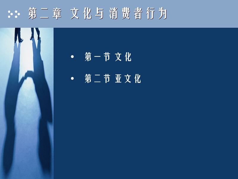 文化与消费者行为.ppt_第2页