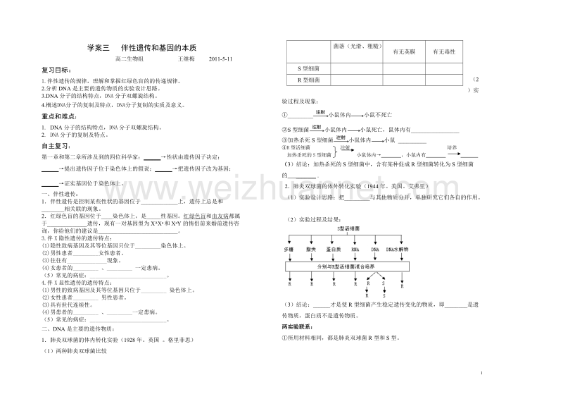 学案三   伴性遗传和基因的本质 王继梅  .doc_第1页