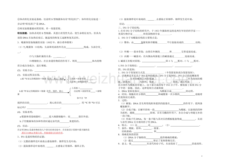 学案三   伴性遗传和基因的本质 王继梅  .doc_第2页