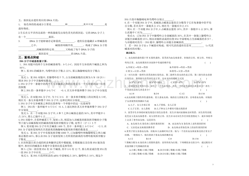 学案三   伴性遗传和基因的本质 王继梅  .doc_第3页