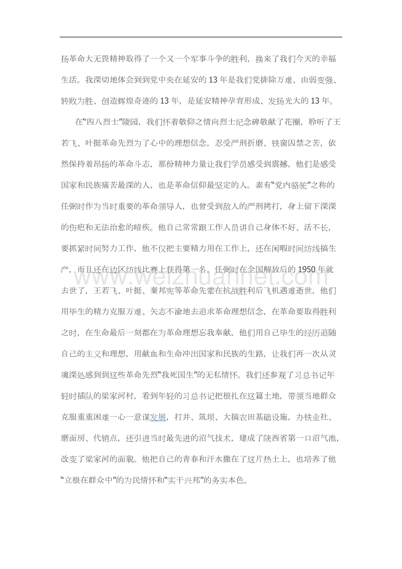 延 安之行党性分析.docx_第3页