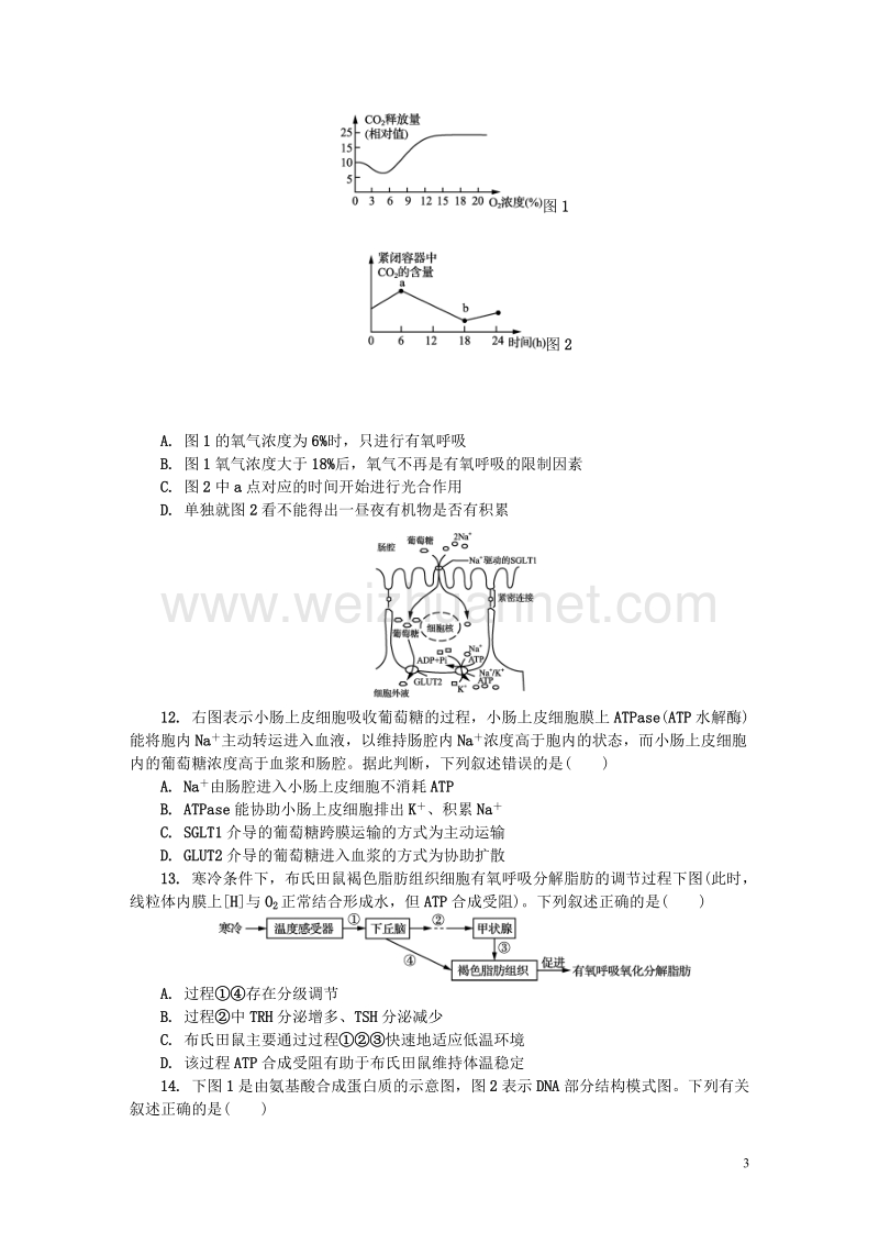 江苏省苏州市2018届高三生物上学期期中试题.doc_第3页