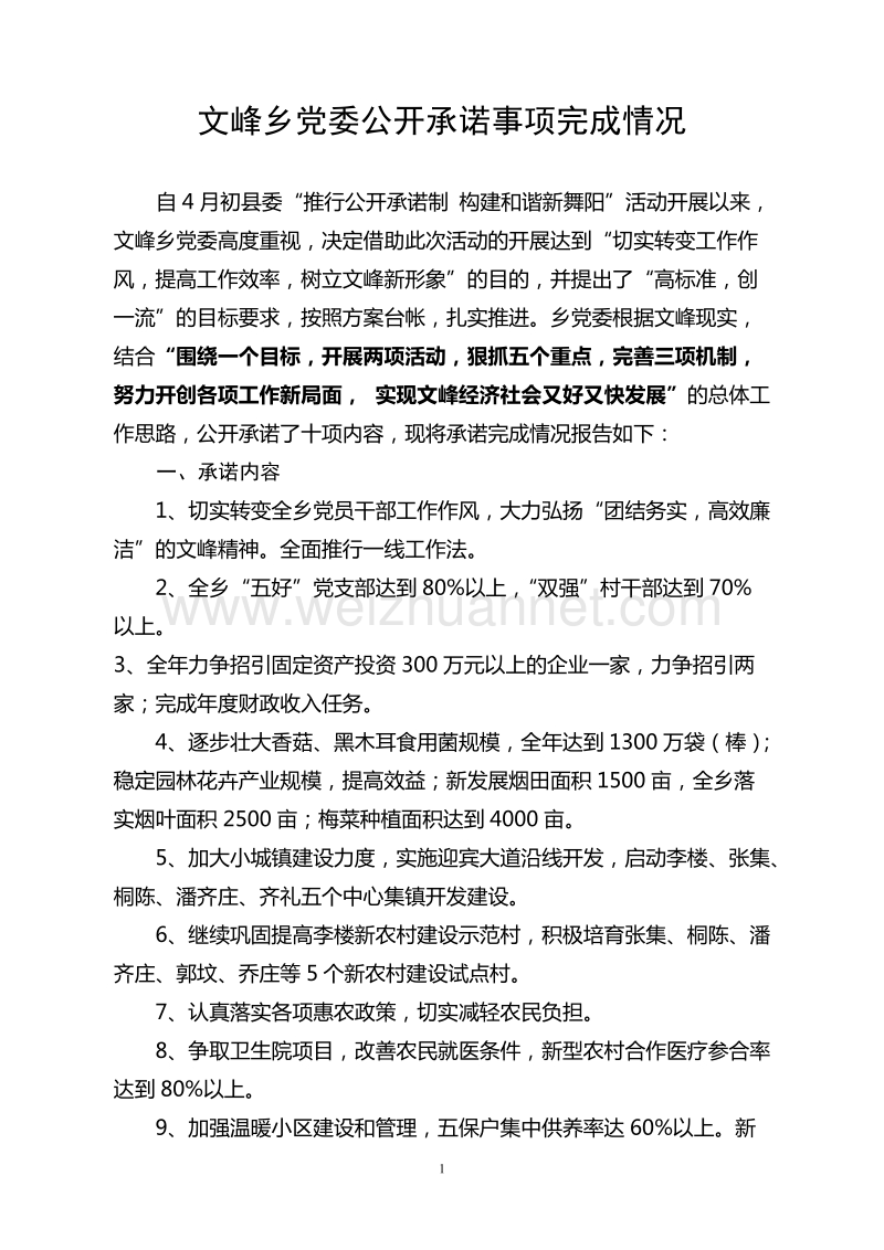 文峰乡党委公开承诺事项完成情况.doc_第1页