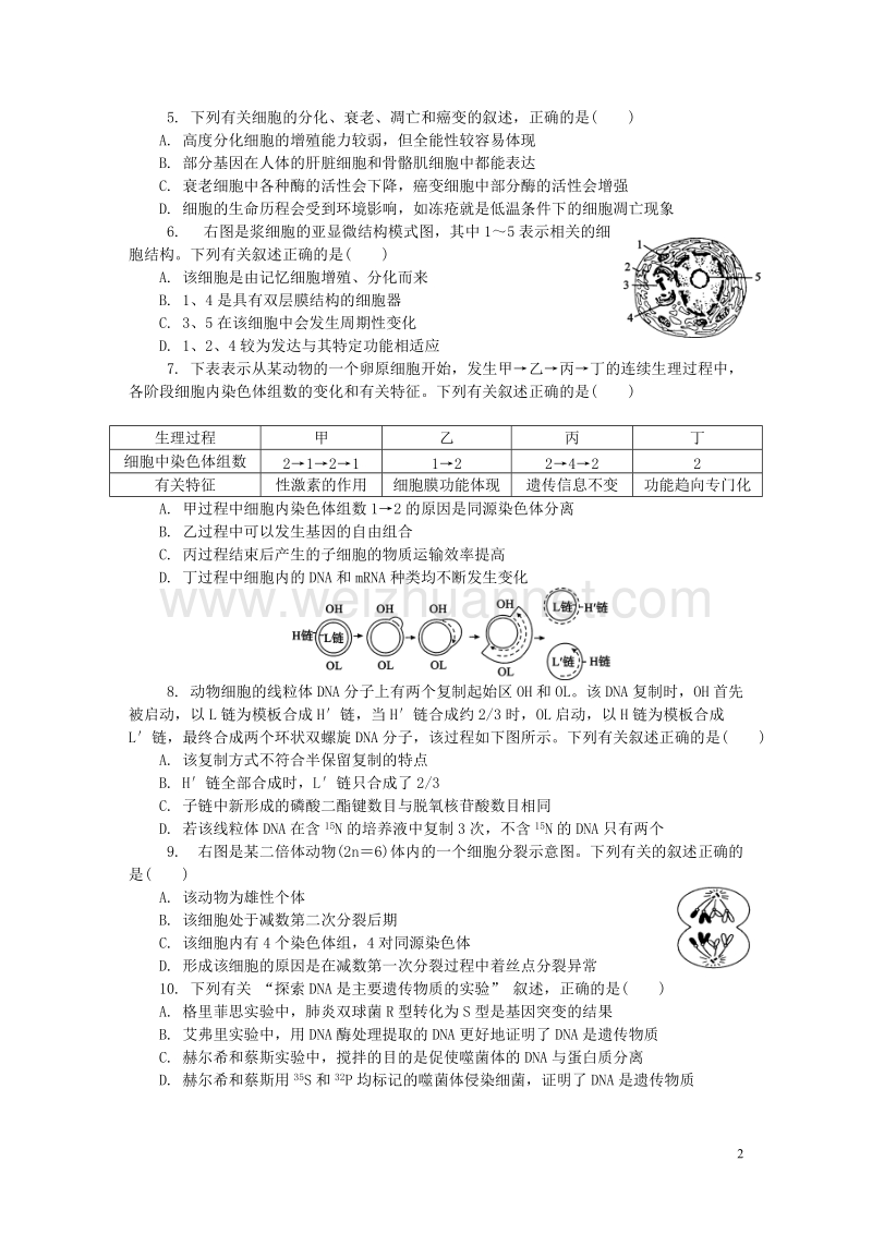 江苏省苏州市2018届高三生物第一次模拟考试试题.doc_第2页