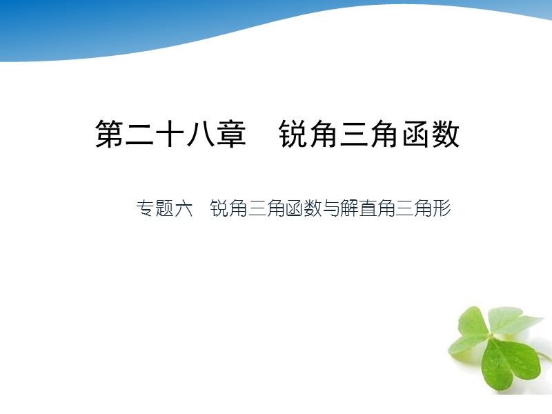 河北省遵化市小厂乡松棚营中学中考数学复习课件：28锐角三角函数专题六　锐角三角函数与解直角三角形.ppt_第1页