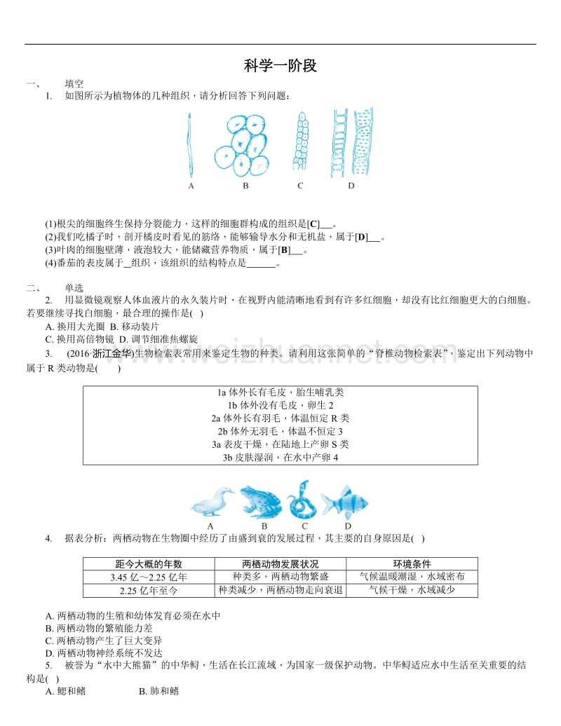 科学一阶段.docx_第1页