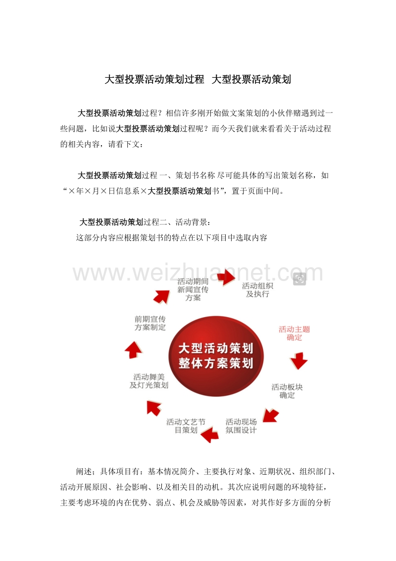 大型投票活动策划过程.docx_第1页