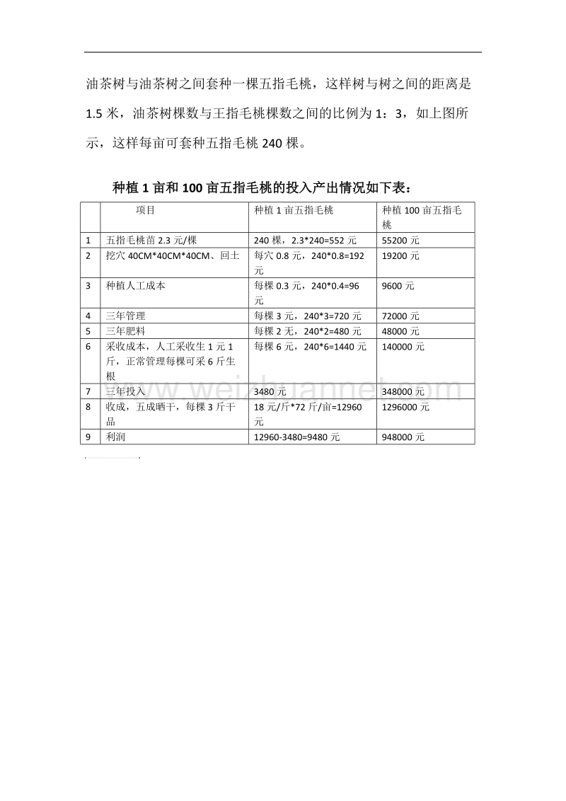 油茶树下套种五指毛桃的方案.docx_第2页