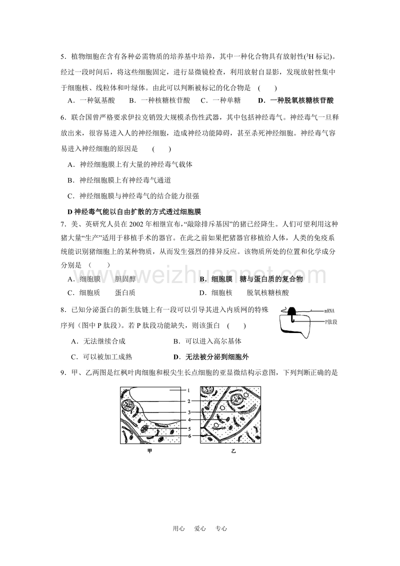 广东省佛山三中2009届生物科第一次段考测试.doc_第2页