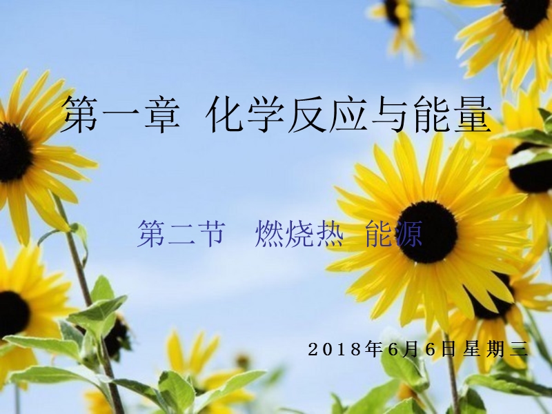 燃烧热能源说课.ppt_第1页