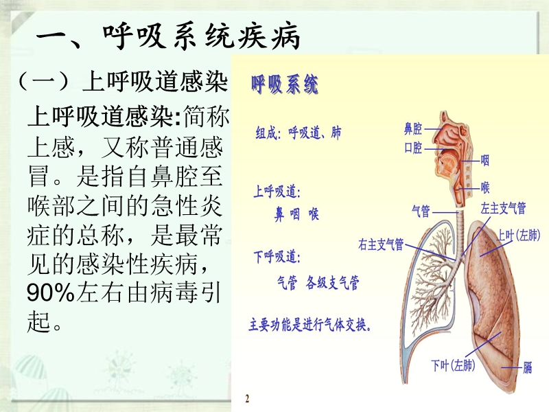 幼儿卫生学——第三章-第一节预防常见病.ppt_第2页