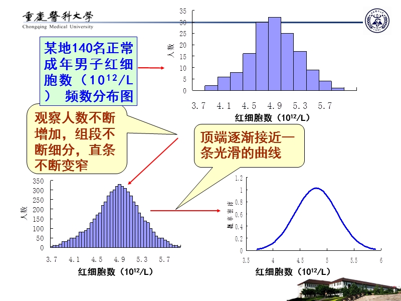 正态分布及参考值范围.ppt_第2页