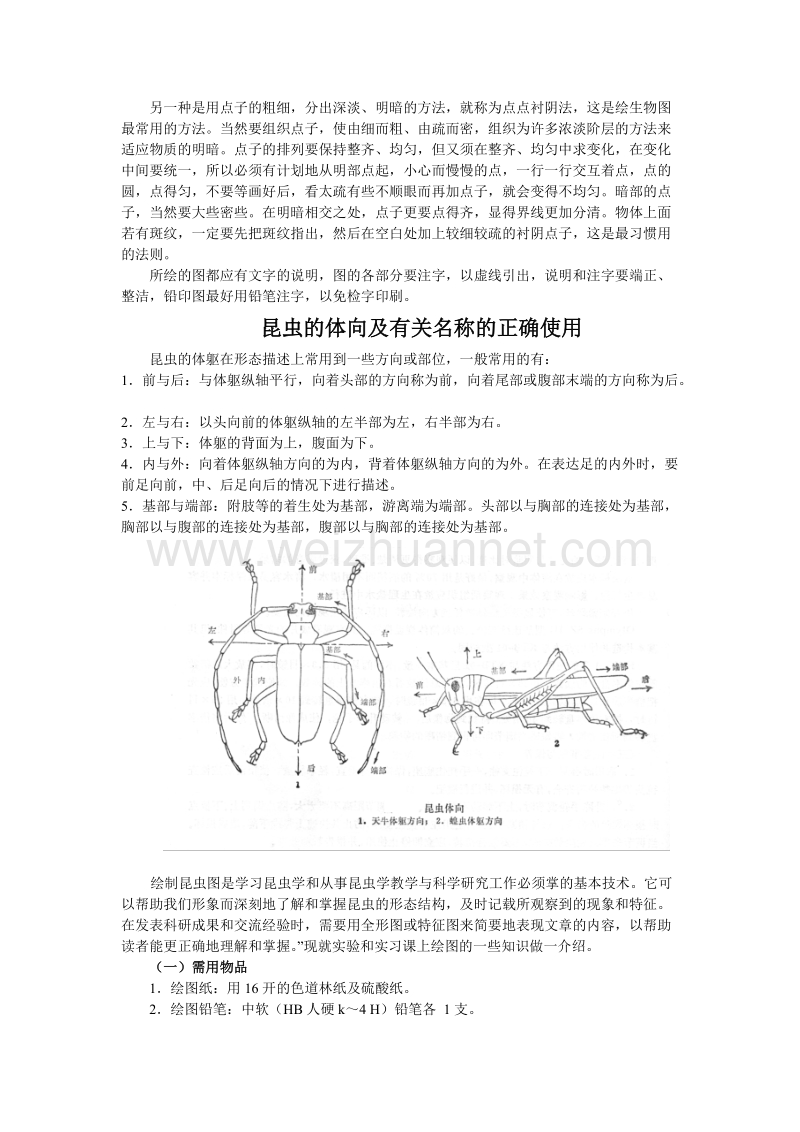 实验二 昆虫的绘图技巧.doc_第2页