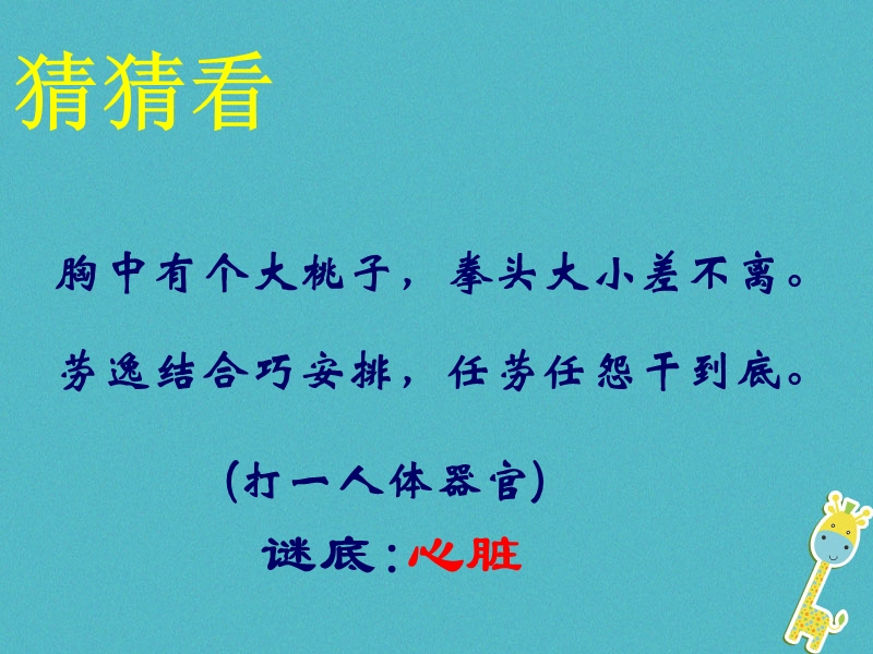 七年级生物下册 4.4.3输送血液的泵——心脏课件 （新版）新人教版.ppt_第2页