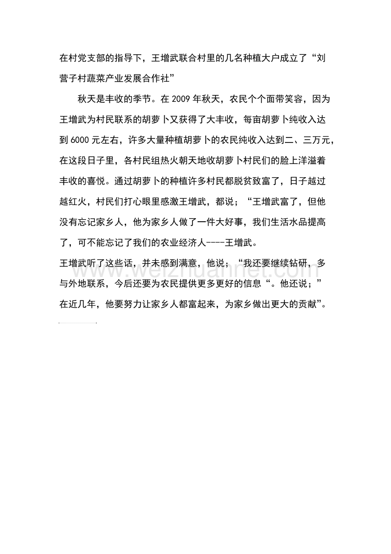 王增武事迹材料.doc_第2页