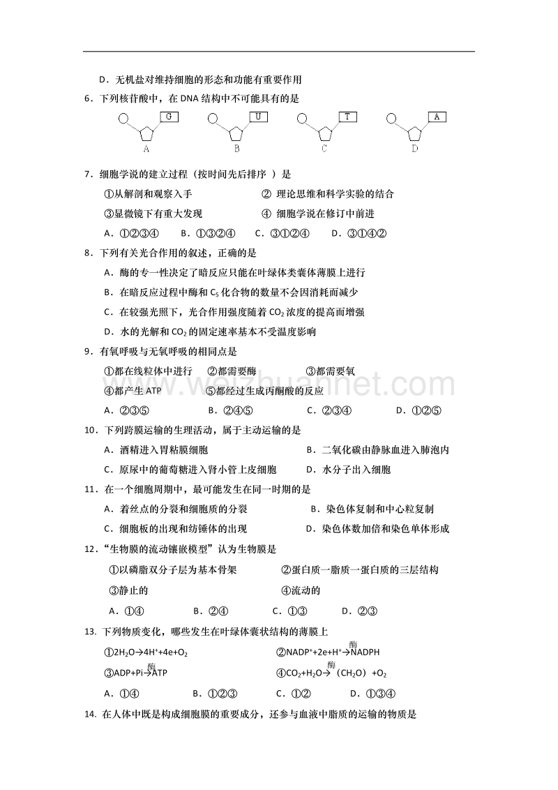 山东省青岛市08-09学年高一生物上学期期末统考人教版必修一.doc.doc_第2页