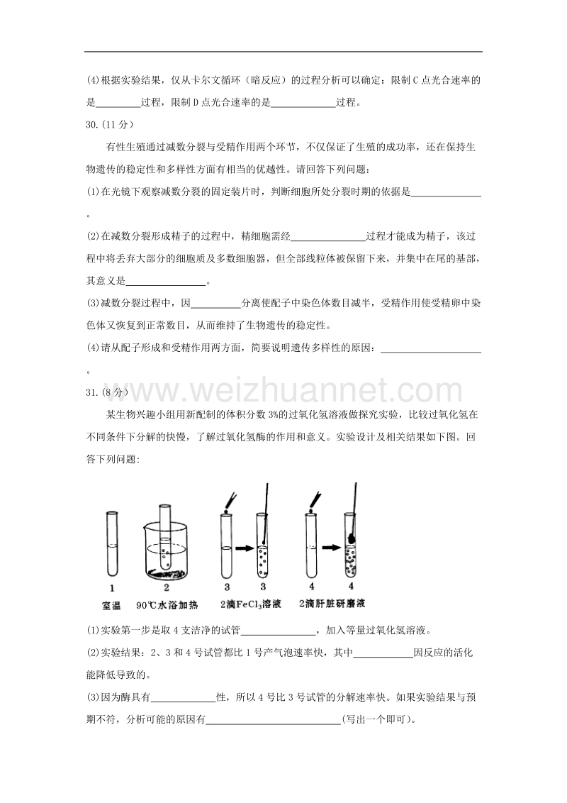 四川省绵阳市2017届高三第一次诊断性考试理综生物及答案.doc_第3页