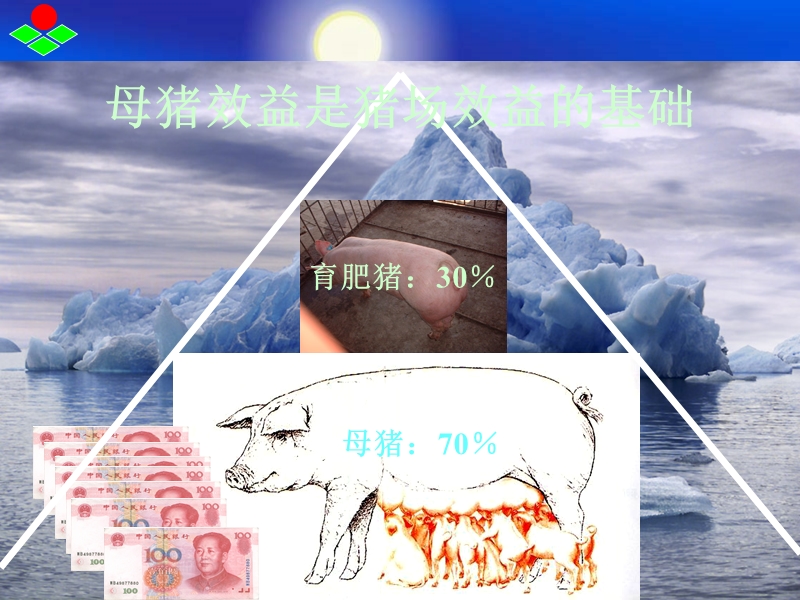 母猪七阶段饲喂程序.ppt_第2页