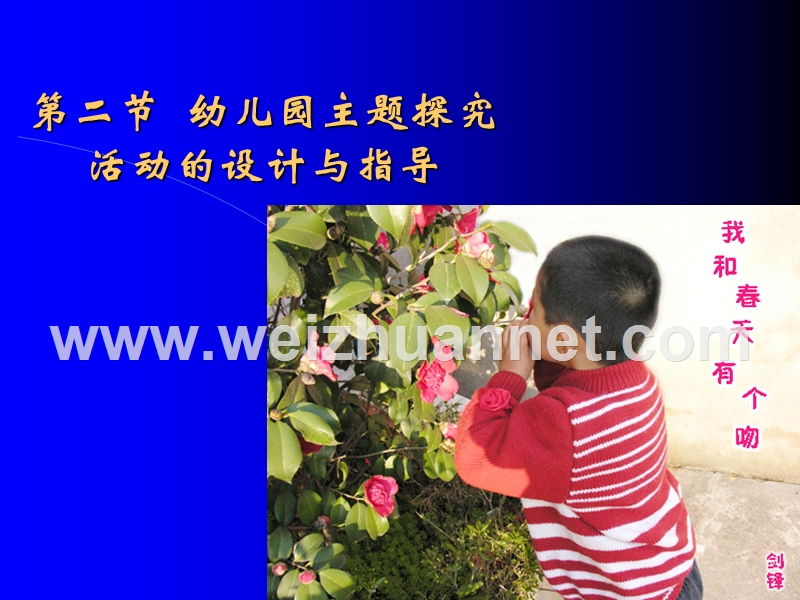 幼儿园主题探究活动设计与指导.ppt_第1页