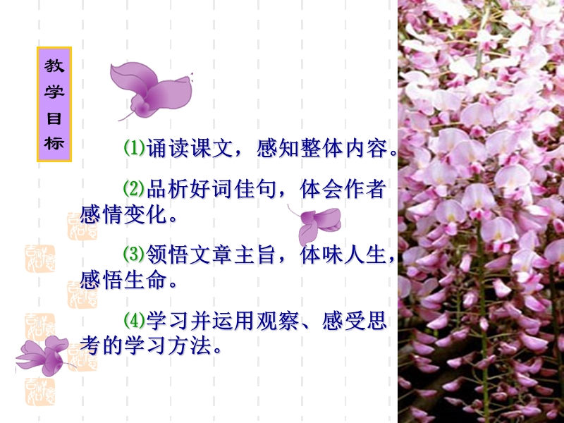 紫藤萝瀑布修.ppt_第2页