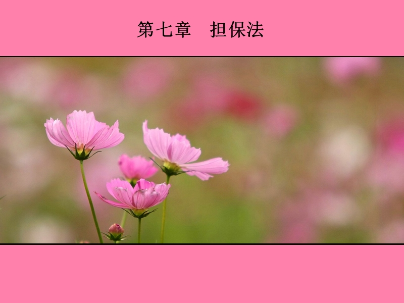 第七章-本担保法.ppt_第1页