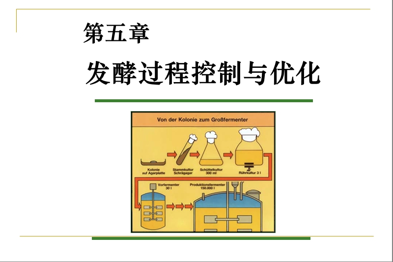 第五章-发酵过程控制与优化.ppt_第1页