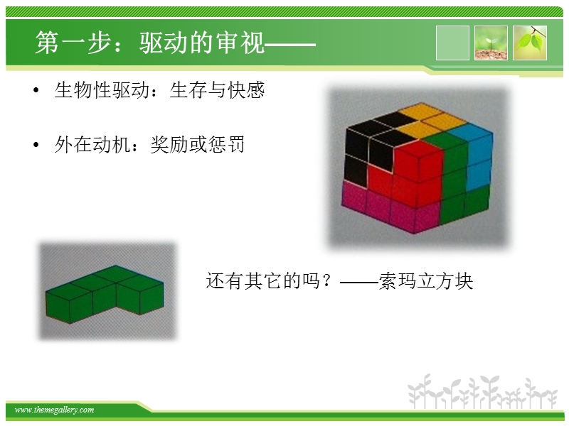 职业经理人的自我管理之一：驱动与自我激励.pptx_第2页