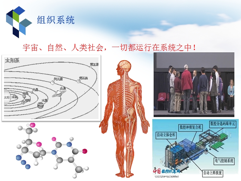 第七章组织和组织结构理论.ppt_第2页