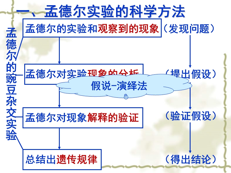 课时练9遗传的基本规律.ppt_第3页