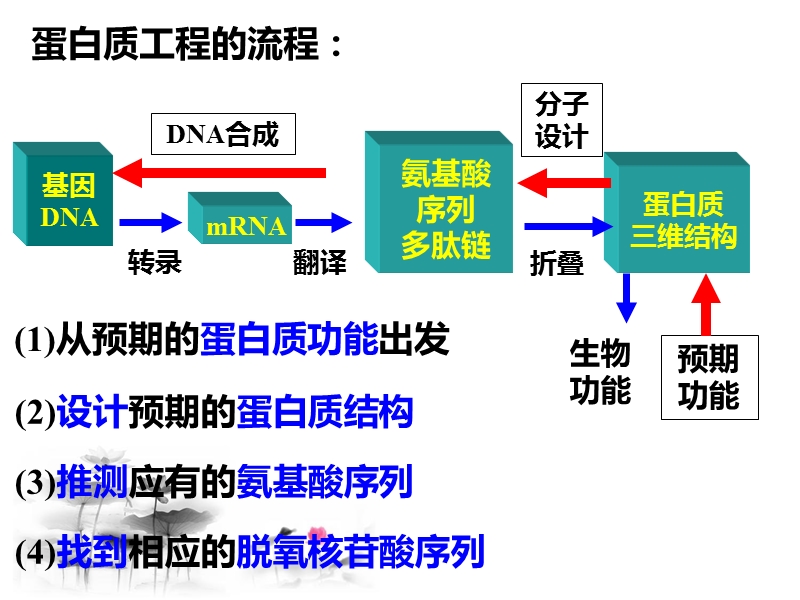 细胞工程.pptx_第2页