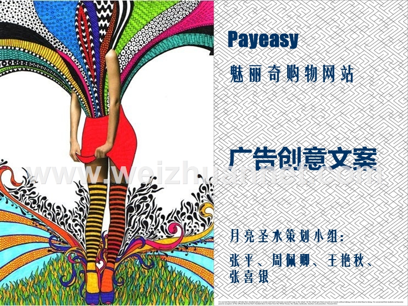 购物网站广告策划.ppt_第1页