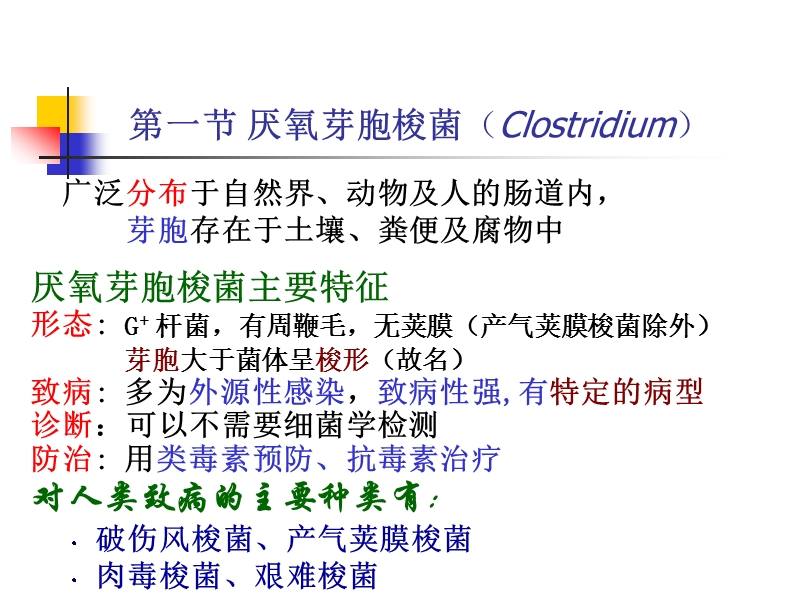 第十一章厌氧菌.ppt_第2页