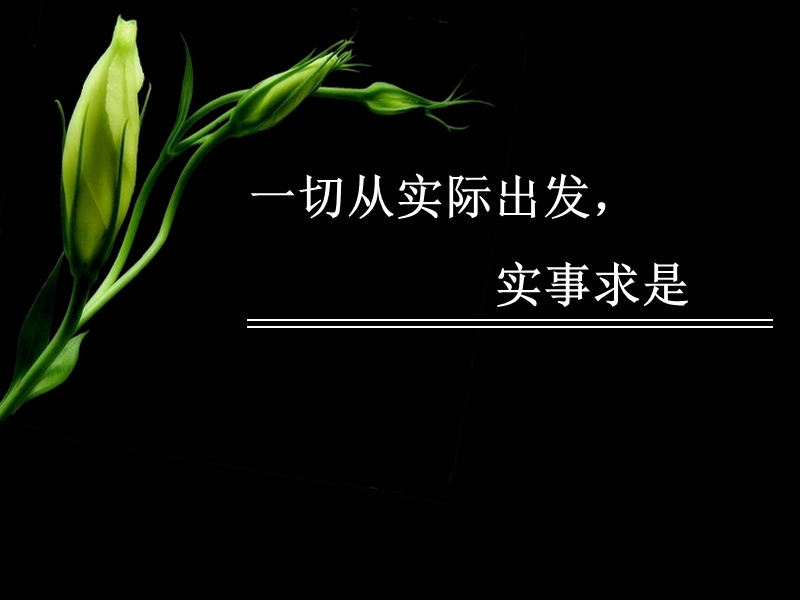 高二文科《一切从实际出发》.ppt_第1页