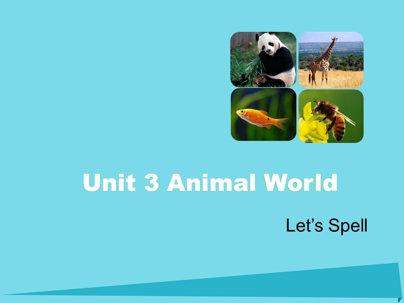 2017六年级英语上册unit3animalworldlet’sspell课件人教新起点.ppt_第1页