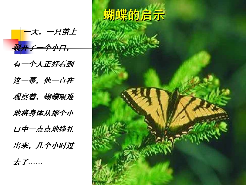 职业经理人如何提高逆商.ppt_第3页