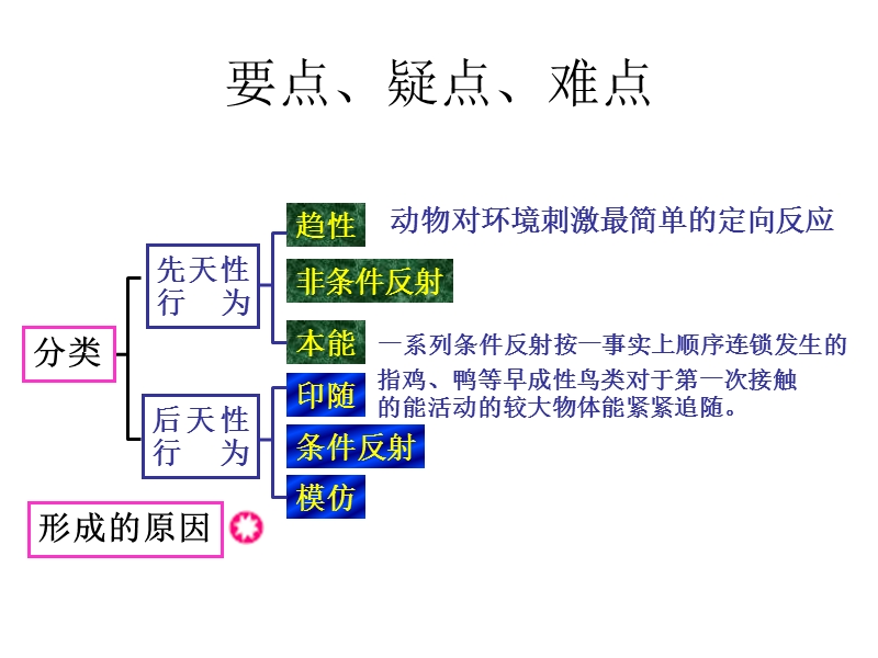 高二生物动物行为产生的生理基础.ppt_第3页