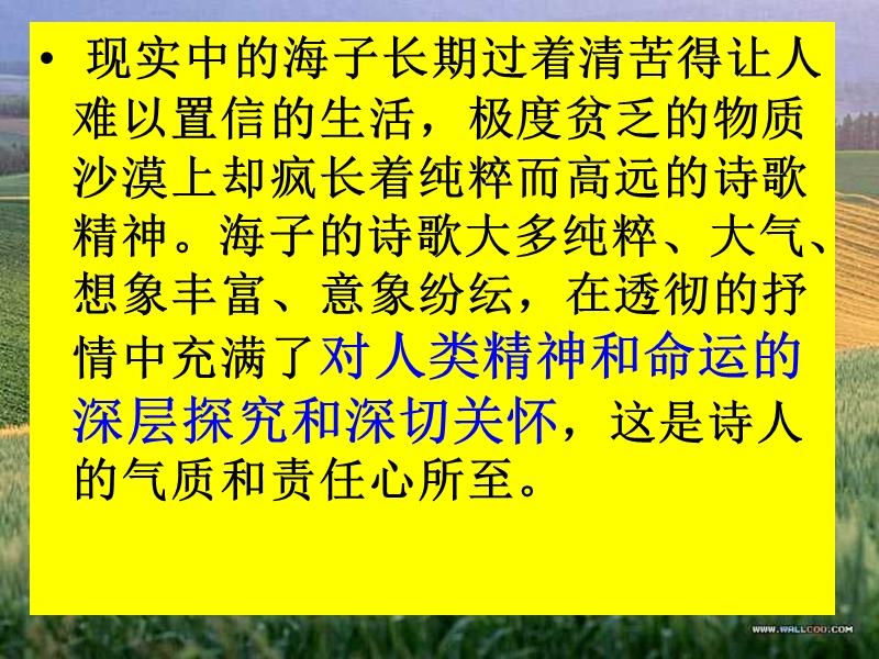 语文版同步必修1教学课件《麦地》1.ppt_第3页