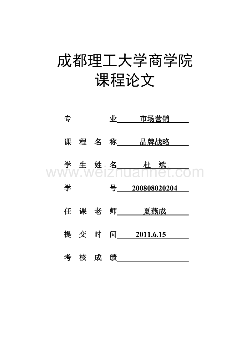 金银花产品在四川细分市场上的品牌营造策略初探.doc_第1页