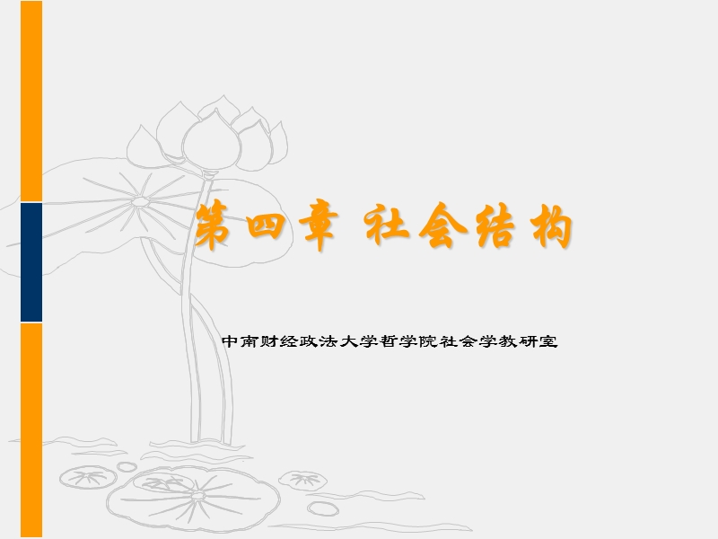 第四章-社会结构.ppt_第1页