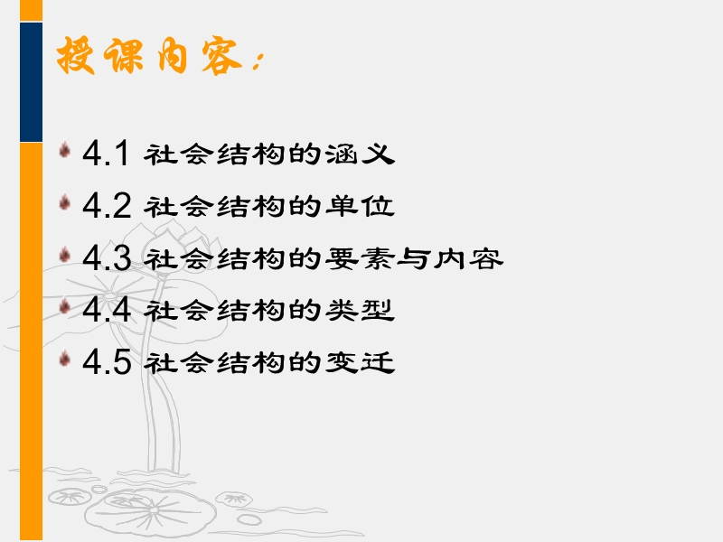 第四章-社会结构.ppt_第3页