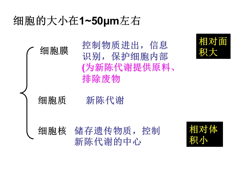 第三章生命的结构基础.ppt_第3页