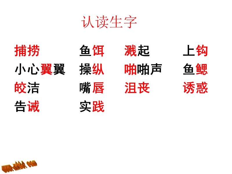 钓鱼的启示.ppt_第3页