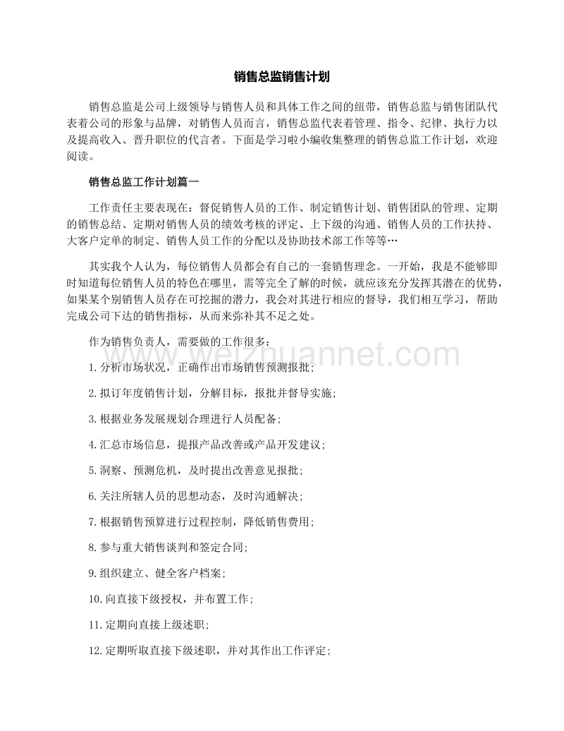 销售总监销售计划.docx_第1页